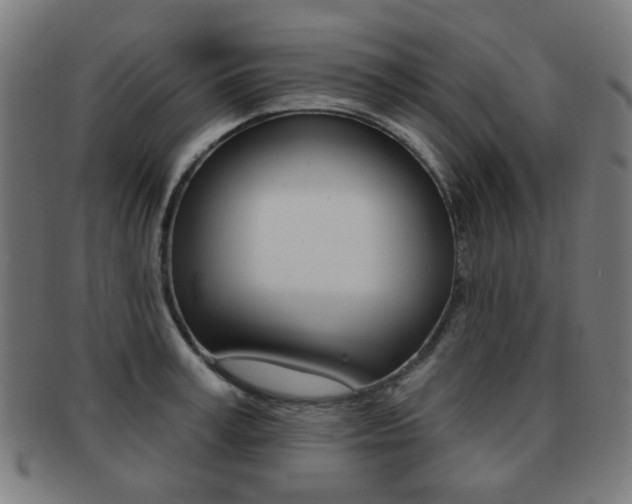 X0000091890995200709051041