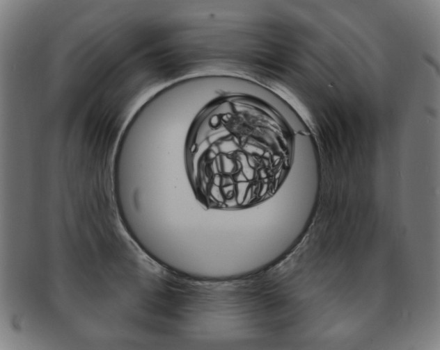 X0000091890996200709051041