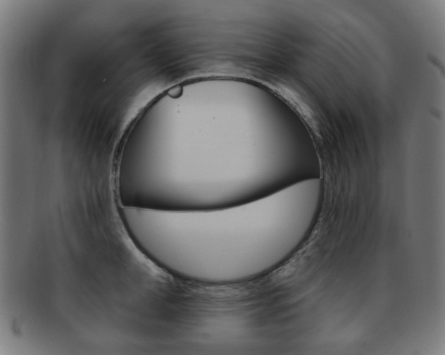 X0000091890998200709051041