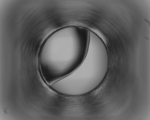 X0000091890999200709051041