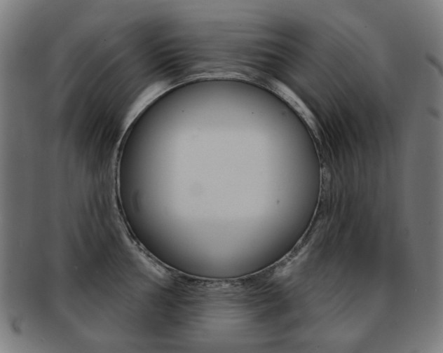 X0000091891002200709051041