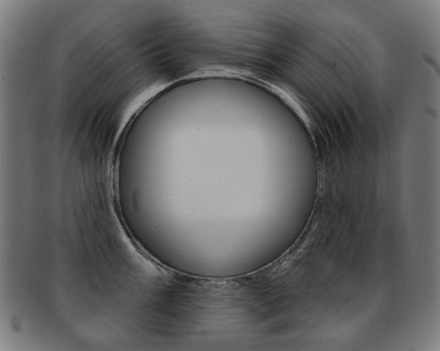 X0000091891003200709051041