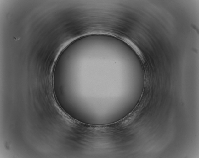X0000091891004200709051041