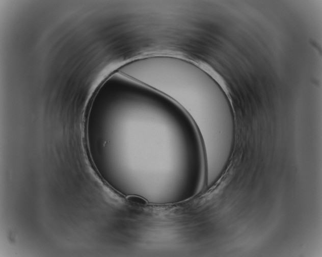 X0000091891005200709051041