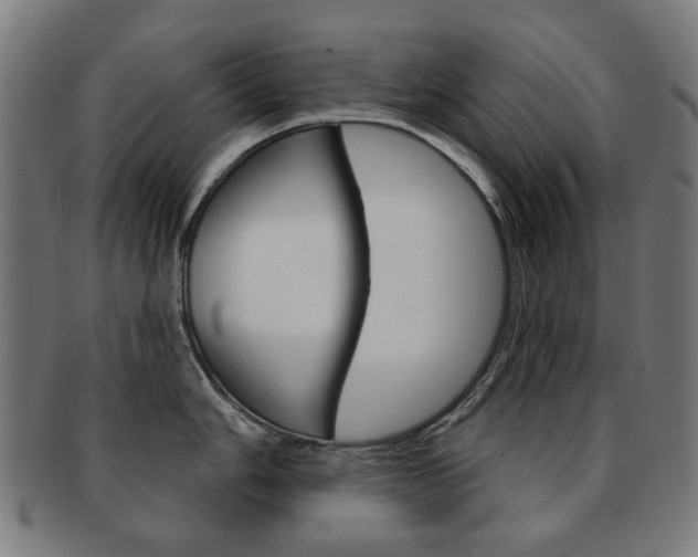X0000091891006200709051041
