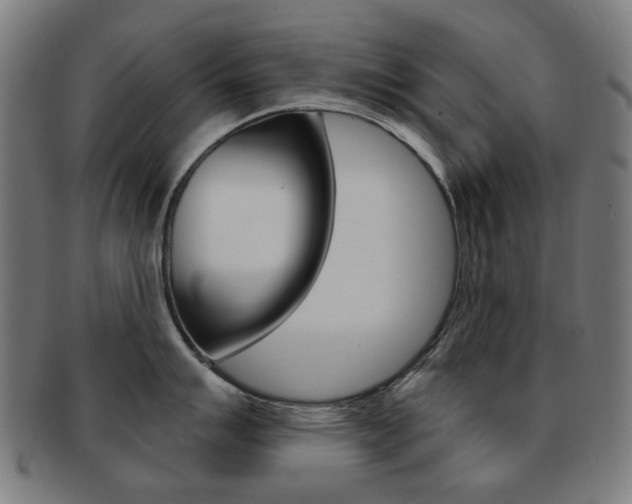 X0000091891007200709051041