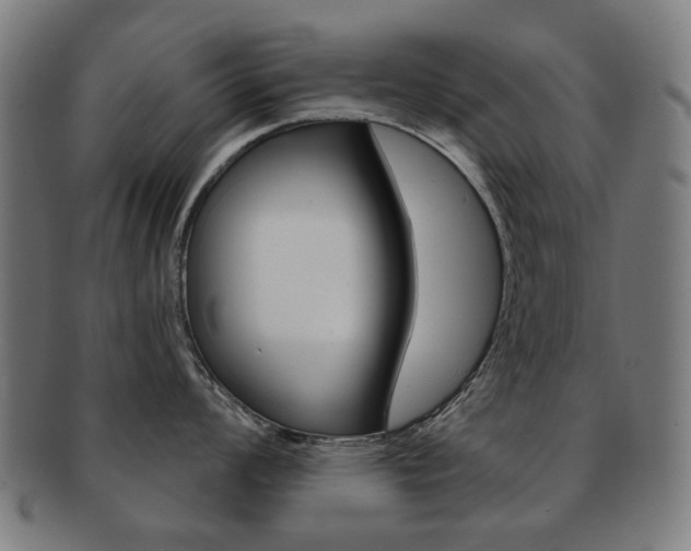 X0000091891008200709051041