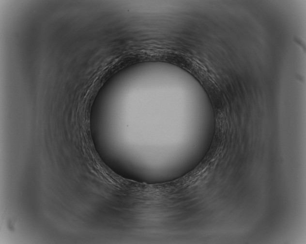 X0000091891009200709051040