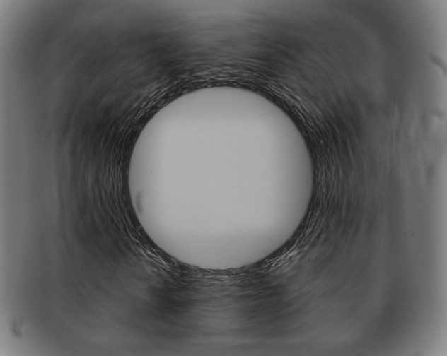X0000091891010200709051040