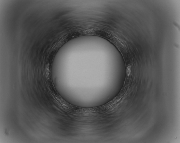 X0000091891011200709051040