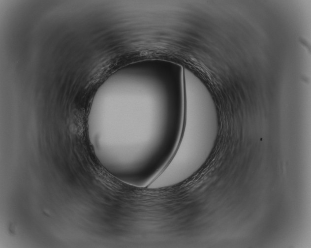 X0000091891012200709051040