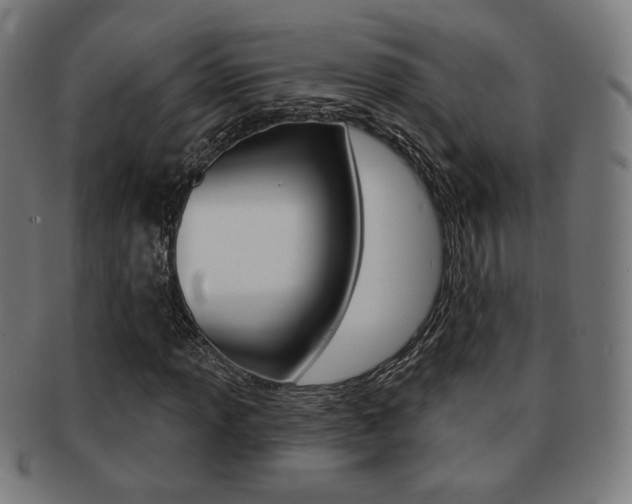 X0000091891013200709051040