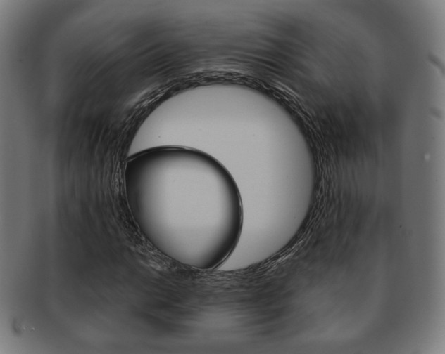 X0000091891014200709051040