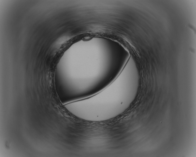 X0000091891016200709051040