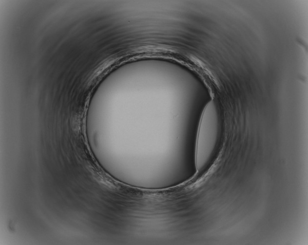 X0000091891017200709051040