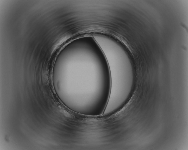 X0000091891018200709051040