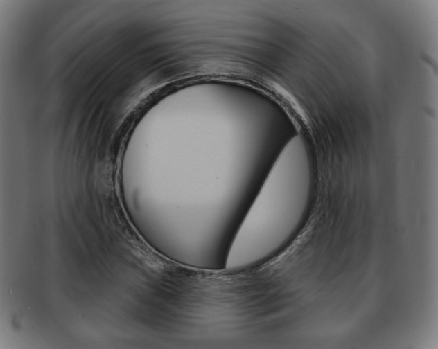 X0000091891019200709051040
