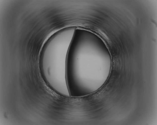 X0000091891020200709051040