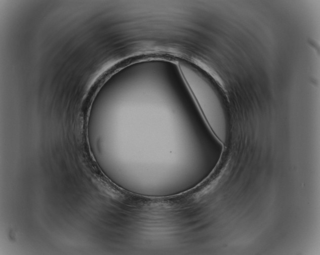 X0000091891021200709051040