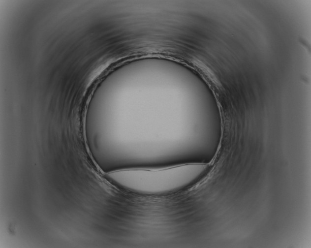X0000091891023200709051040