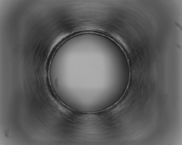 X0000091891024200709051040