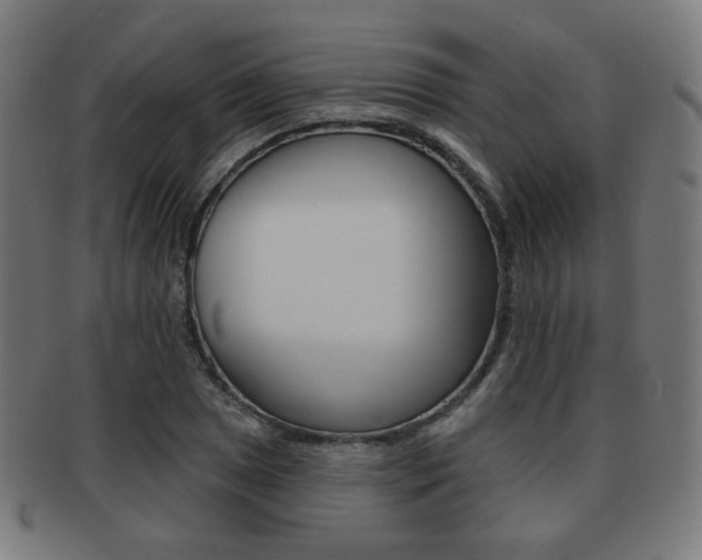 X0000091891025200709051040