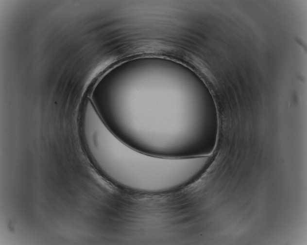 X0000091891026200709051040