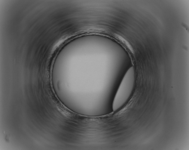 X0000091891027200709051040