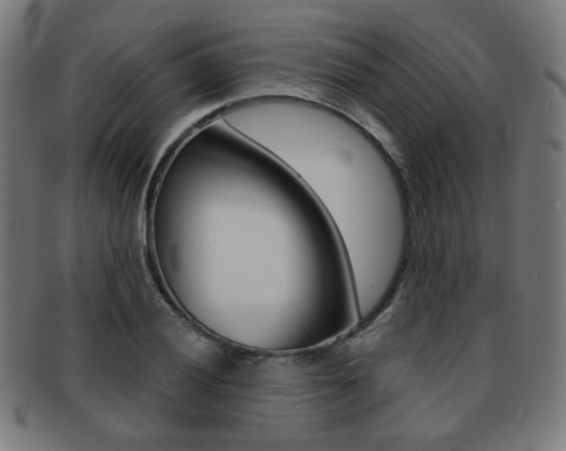 X0000091891028200709051040