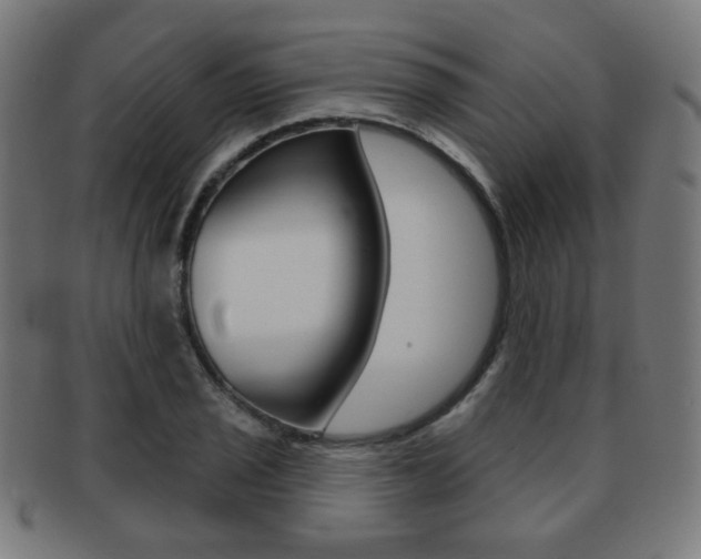 X0000091891029200709051040