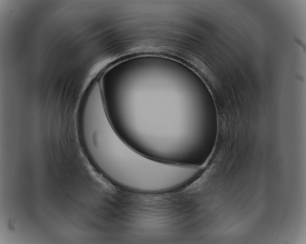 X0000091891030200709051040