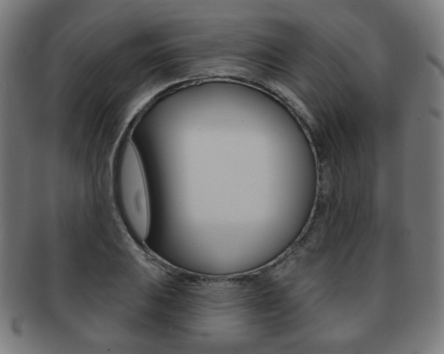 X0000091891031200709051040