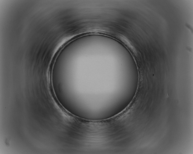 X0000091891032200709051040
