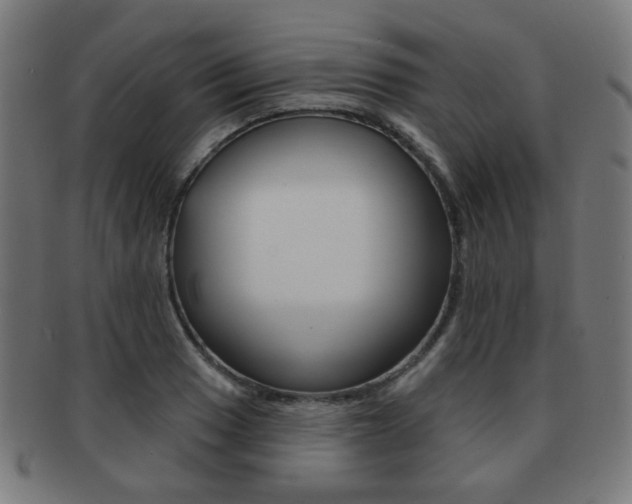 X0000091891033200709051040