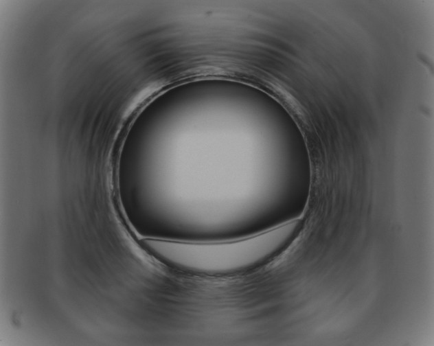 X0000091891034200709051041