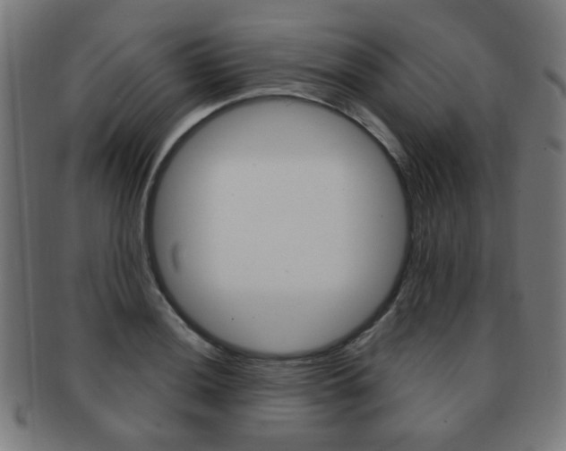 X0000091891036200709051041