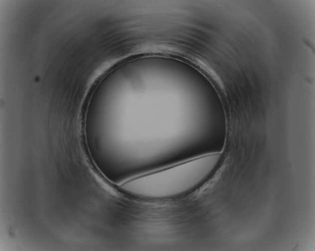 X0000091891037200709051041