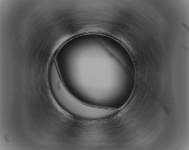 X0000091891038200709051041