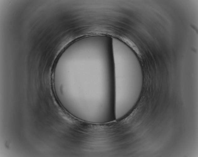 X0000091891039200709051041