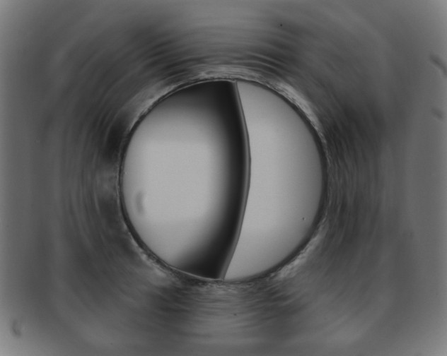 X0000091891041200709051041