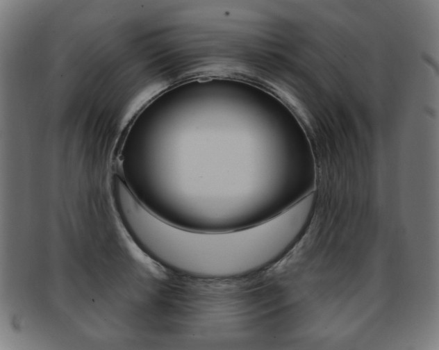 X0000091891042200709051041