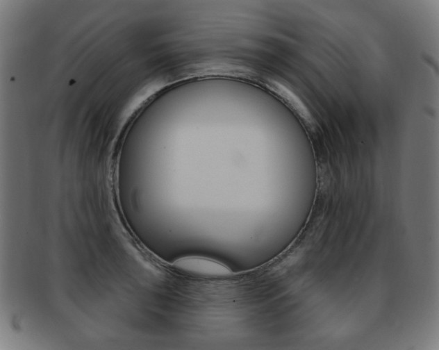 X0000091891043200709051041