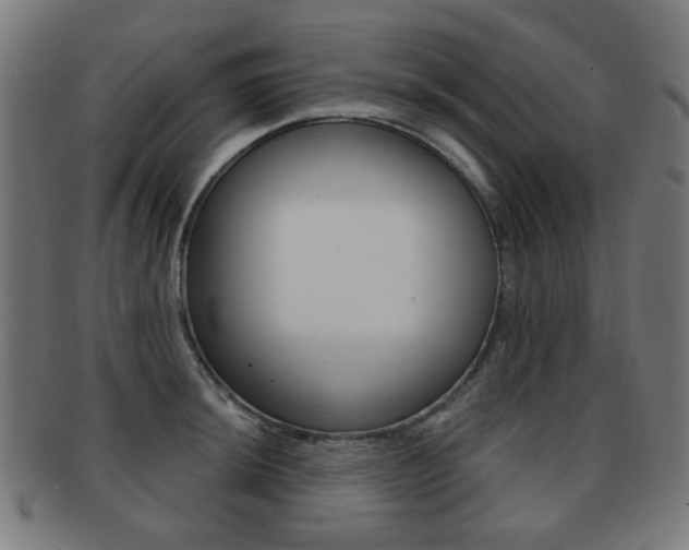 X0000091891044200709051041