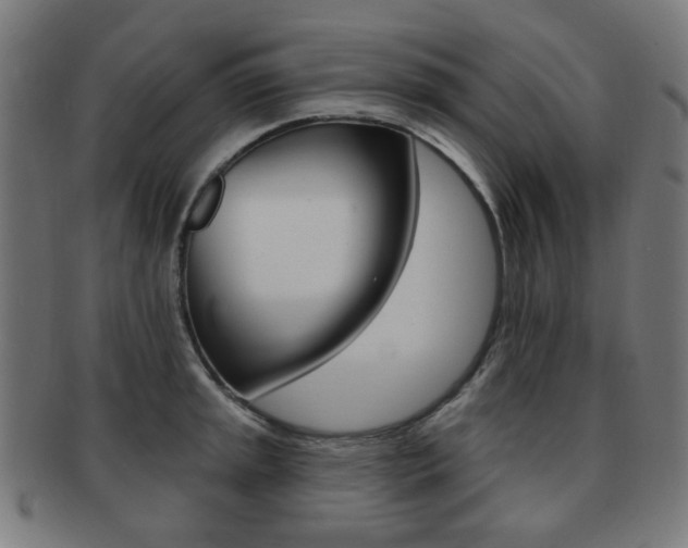 X0000091891045200709051041