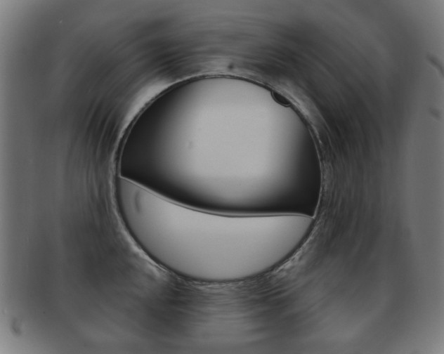 X0000091891048200709051041