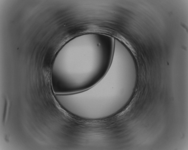 X0000091891049200709051041