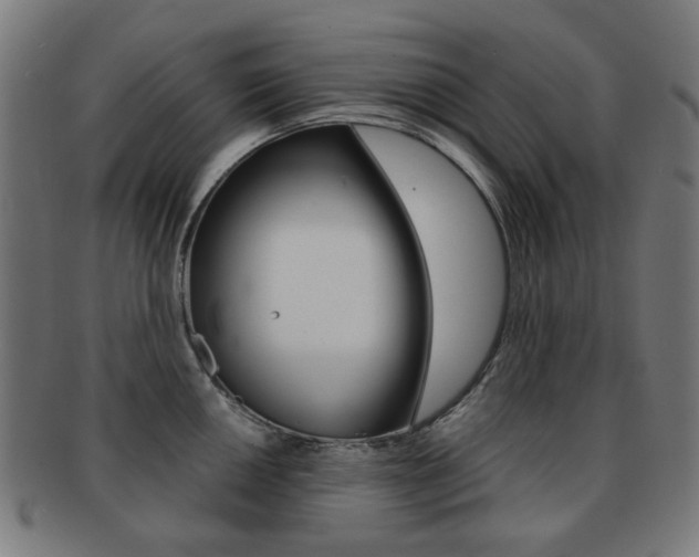 X0000091891050200709051041