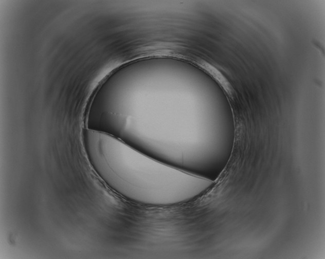 X0000091891051200709051041