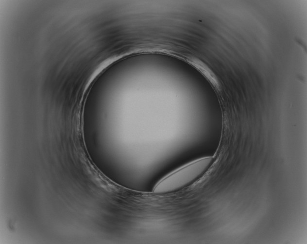 X0000091891052200709051041