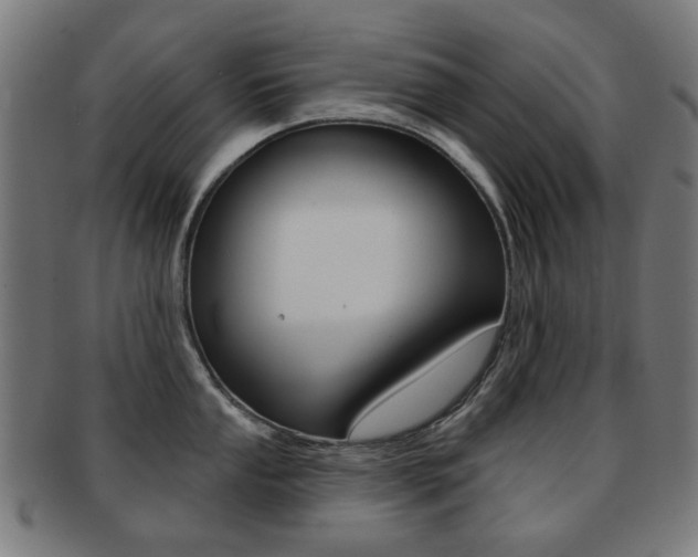 X0000091891053200709051041